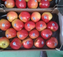 Продаем яблоки из Испании - Продукты питания в Ялте