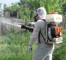 Уничтожение тараканов в Симферополе и по Крыму. - Клининговые услуги в Симферополе