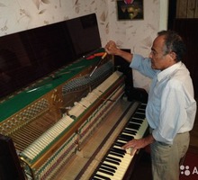 Настройка пианино и роялей - Услуги в Крыму