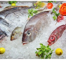 Свежемороженая рыба в Крыму - цены ниже рыночных! - Эко-продукты, фрукты, овощи в Севастополе