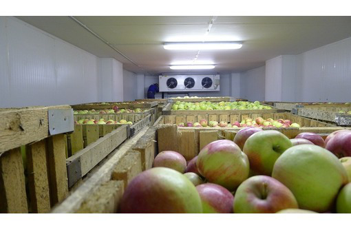 Строительство овощехранилищ и холодильных камер под ключ в Бахчисарае и Крыму - Услуги в Бахчисарае