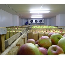Монтаж холодильноего оборудования  и камер для длительного хранения яблок в Белогорске и Крыму - Продажа в Белогорске