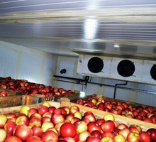 Холодильные Камеры для Фруктов Овощей Зелени. - Продажа в Крыму