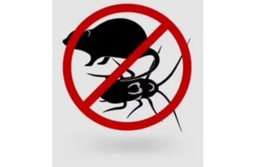 Уничтожение тараканов, уничтожение клопов, крыс, услуги дезинфекции - Клининговые услуги в Севастополе