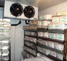 Холодильные агрегаты и установки для хранения и заморозки рыбы в Керчи под ключ. Холодильные камеры - Продажа в Керчи