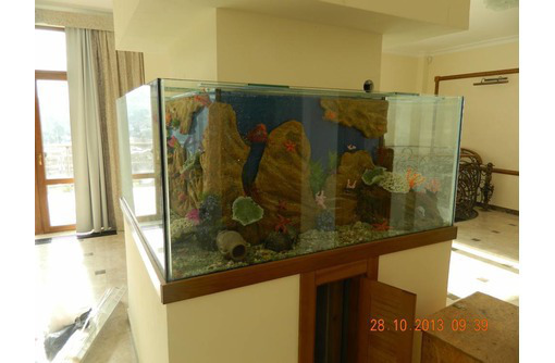 Изготовление аквариумов любой формы и размеров - Аквариумные рыбки в Севастополе