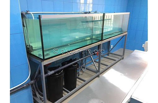 Изготовление аквариумов для торговли живой рыбой и раками в Крыму и Севастополе - Продажа в Севастополе