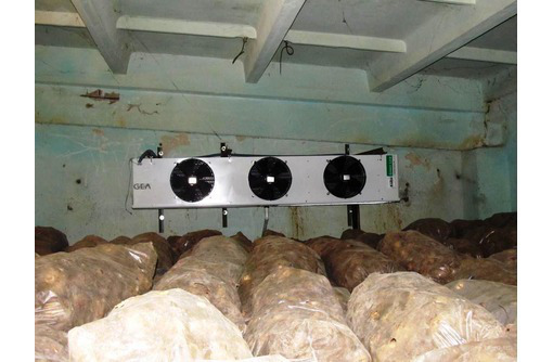 Холодильные Камеры для Хранения Капусты. - Продажа в Джанкое