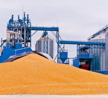 Газация, фумигация, обеззараживание зерна, силосов, незагруженных хранилищ по Крыму - Сельхоз услуги в Крыму