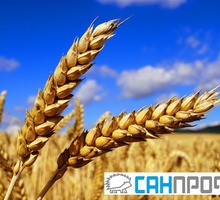 Фумигация зерна фосфином - Сельхоз услуги в Крыму