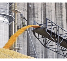 Обеззараживание зерна и продуктов переработки - Сельхоз услуги в Красногвардейском