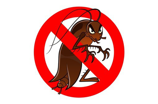 Уничтожение тараканов , клопов и других насекомых! Эффект 100%! Звоните! - Клининговые услуги в Севастополе
