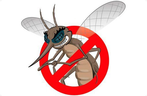 Обработка от комаров, клещей и других насекомых, а так же истребление грызунов! Эффект 100%! - Клининговые услуги в Алупке