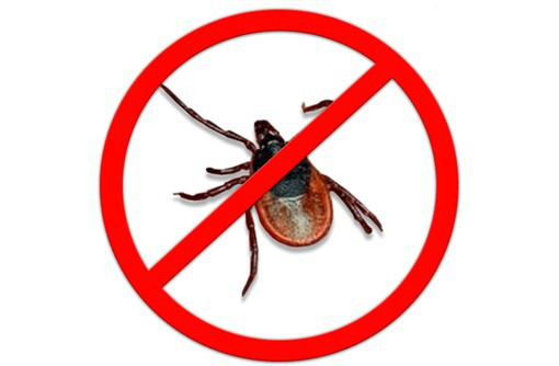 Обработка от комаров, клещей, тараканов и других насекомых! Эффект 100%! - Клининговые услуги в Белогорске