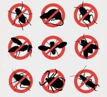 Гарантированное уничтожение любых насекомых, грызунов, вредных микроорганизмов! Профилактика вирусов - Клининговые услуги в Бахчисарае