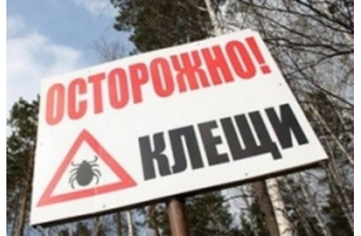 Акарицидная обработка (уничтожение клещей)! Гарантия на весь сезон! Безопасно для здоровья! Жмите! - Клининговые услуги в Алупке