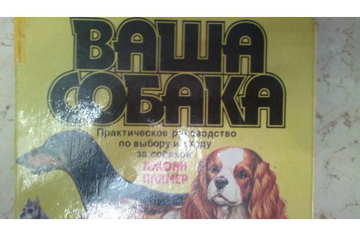Продам в Севастополе справочную книгу: Ваша собака. Автор Джоан Палмер (Великобритания) - Книги в Севастополе