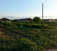 Сдаётся поливная земля с/х назначения - Эко-продукты, фрукты, овощи в Крыму