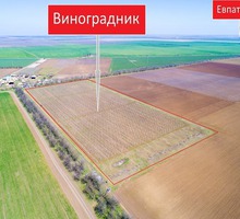 Продается земельный участок с виноградником 4.9 га - Участки в Черноморском