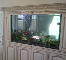 Аквариумы морские и пресноводные под заказ - Аквариумные рыбки в Севастополе