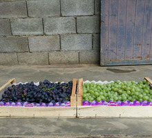 Ящики,лотки,упаковка  фруктов и овощей от производителя - Эко-продукты, фрукты, овощи в Крыму