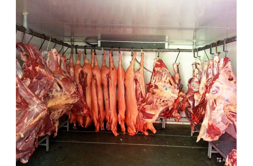Низкотемпературные холодильные установки для мяса. - Продажа в Белогорске