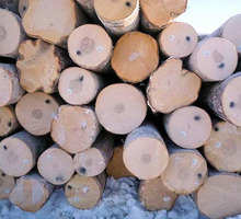 Продам лес кругляк хвойный и березовый - Пиломатериалы в Черноморском