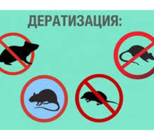 Дератизация. Полное уничтожение крыс, мышей, кротов и других грызунов - Клининговые услуги в Приморском