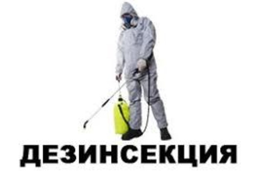 Дезинсекция.  Полное уничтожение тараканов, клопов, клещей, скалопендр, муравьёв - Клининговые услуги в Белогорске