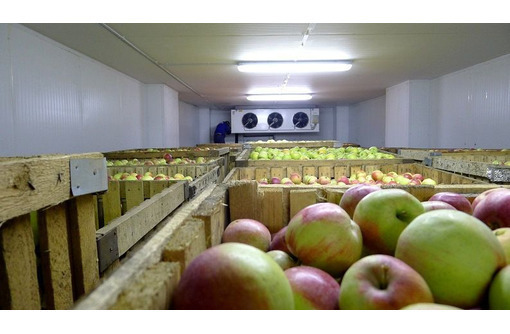 Холодильные Системы для Овощехранилищ. Монтаж под "Ключ" - Продажа в Евпатории
