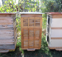 Продам ПАСЕКУ, пчелосемьи с ульями - Пчеловодство в Бахчисарае