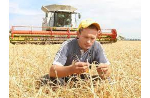 Предприятию на постоянную работу требуются:  - Комбайнер - Сельское хозяйство, агробизнес в Белогорске