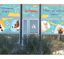 ​Ветеринарные услуги в Симферополе - «ЗооПрайд»: с заботой о ваших домашних любимцах! - Ветеринарные услуги в Крыму