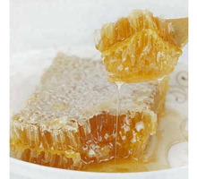 медовые соты - Пчеловодство в Белогорске