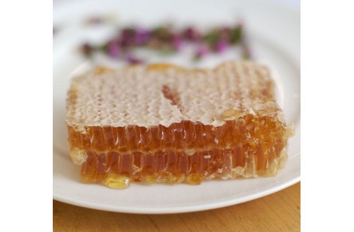 медовые соты - Пчеловодство в Белогорске