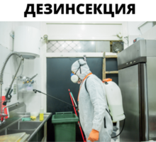 Дезинсекция в Севастополе  с гарантией! - Клининговые услуги в Севастополе