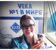 Окна VEKA от производителя Крым - Окна в Севастополе