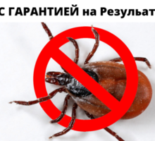 ​Уничтожение от тараканов с Гарантией ГУРЗУФ - Клининговые услуги в Гурзуфе