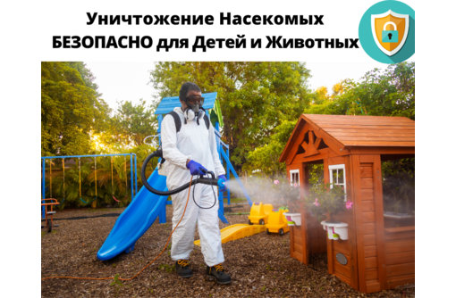 Обработка клопов холодным туманом в Севастополе - Клининговые услуги в Севастополе