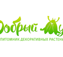 ​Широкий ассортимент декоративных растений в Крыму предлагает питомник «Добрый Жук»! - Саженцы, растения в Симферополе