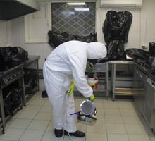 Уничтожение от тараканов с Гарантией в Феодосии - Клининговые услуги в Феодосии