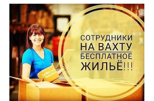 Упаковщик(-ца) на склад с проживанием,питанием - Логистика, склад, закупки, ВЭД в Алупке