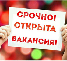 Регистратор заявок в организацию - Менеджеры по продажам, сбыт, опт в Крыму