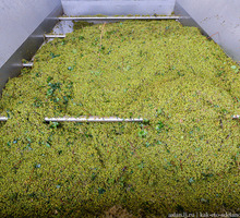 Винодельня оборудование по переработки винограда - Продажа в Крыму