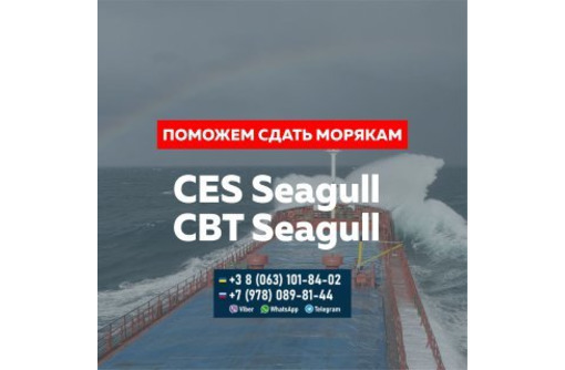 Срочное обучение и помощь с тестами морякам Marlins, CES, ASK, STCW, ECDIS, SETS, BSM, V.Ships - Обучение для моряков в Севастополе