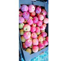 Продам яблоки. - Эко-продукты, фрукты, овощи в Красногвардейском