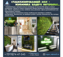 Мох стабилизированный в рекламе и интерьере - Реклама, дизайн в Крыму