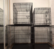 Клетка вольер для животных (собак, кошек) - Продажа в Симферополе