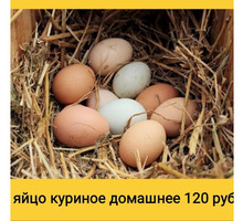 Яйцо домашнее куриное свежее - Эко-продукты, фрукты, овощи в Крыму