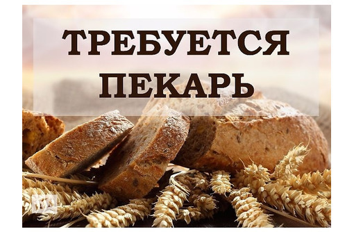 Приглашаем на работу пекаря с опытом работы!!! - Продавцы, кассиры, персонал магазина в Севастополе